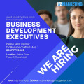 Business Development Executive