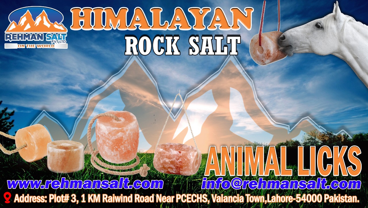 Rehman Salt Pvt. Ltd.