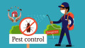 CALL & CALL PEST CONTROL