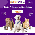 Pet Clinics in Lahore | petvet.pk
