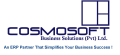 ERP Software Company ERP Vendor Lahore- Cosmosoft Business Solutions