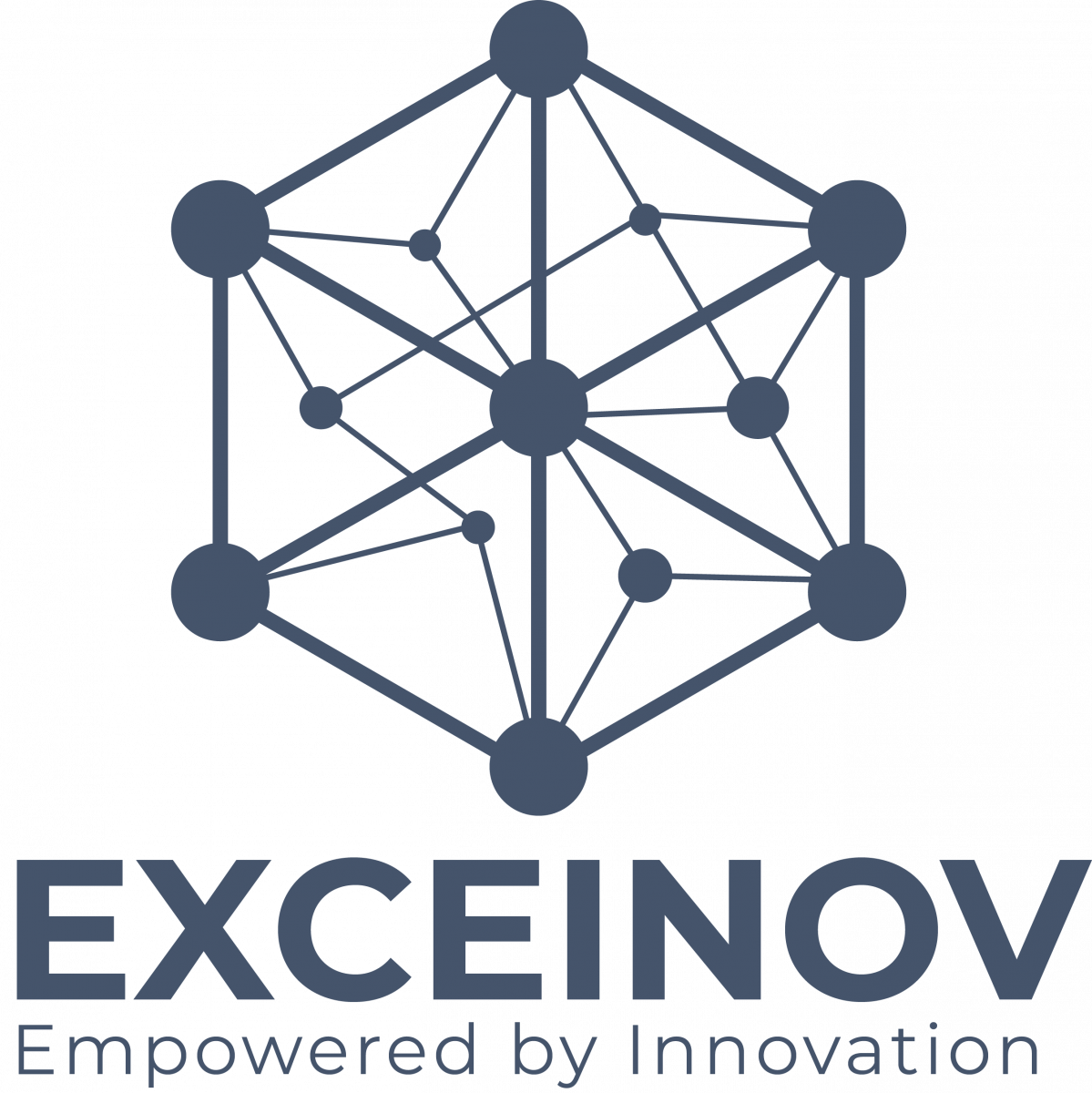 Exceinov Private Limited