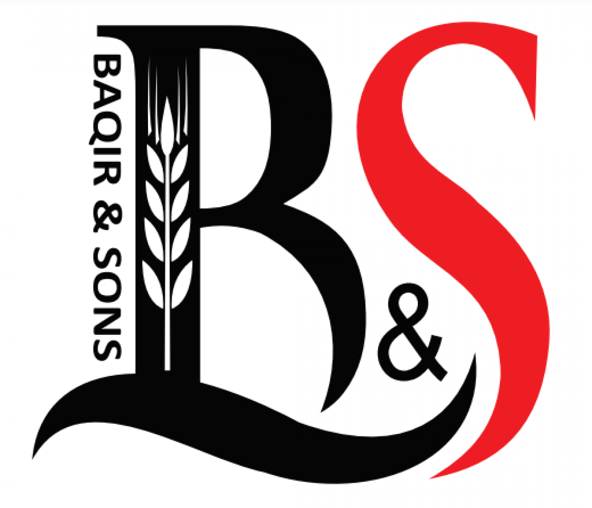 Baqir & Sons Industries Pvt ltd.