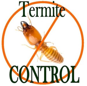 Image result for pest & termite control service